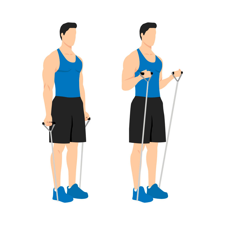 Bicep Curl with resistance band