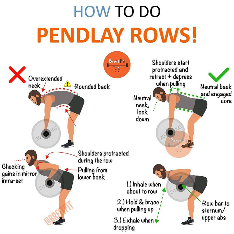 how to Pendlay Row chart