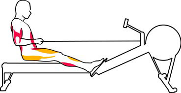 the finish stage with rowing machine